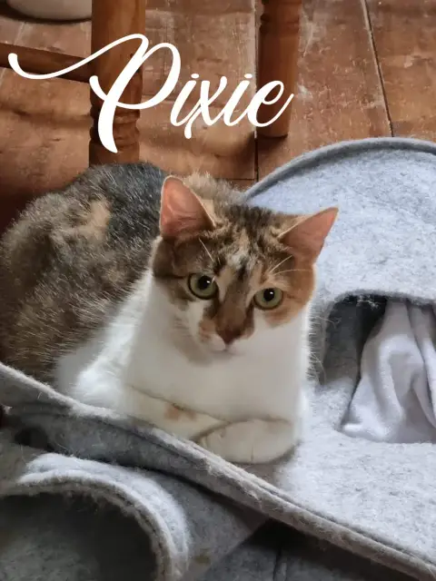 Pixie