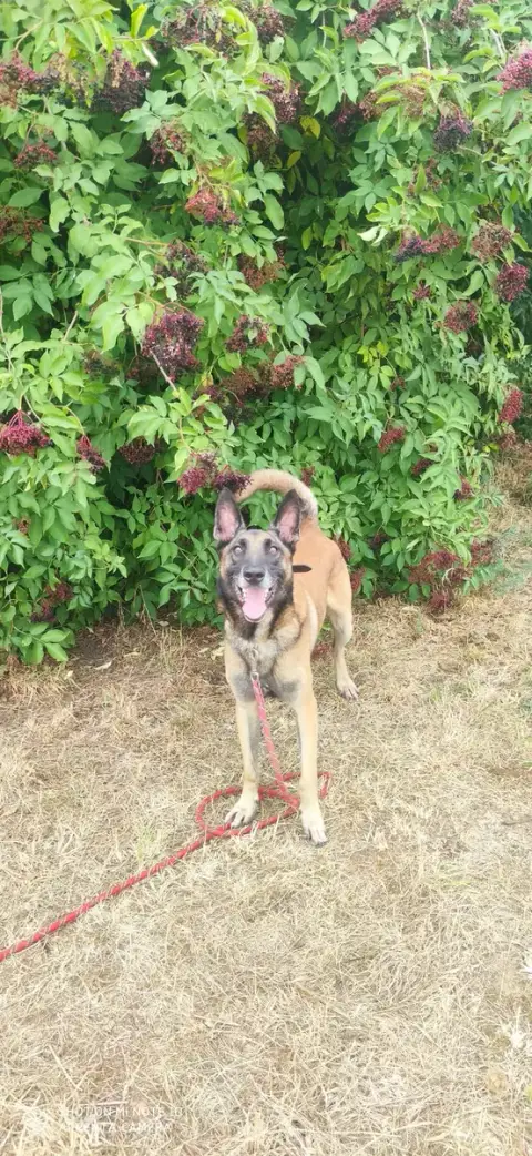 Théo