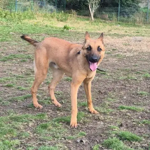 Eros