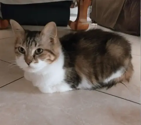Wilson