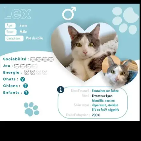 Lex