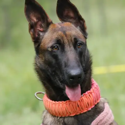Tania