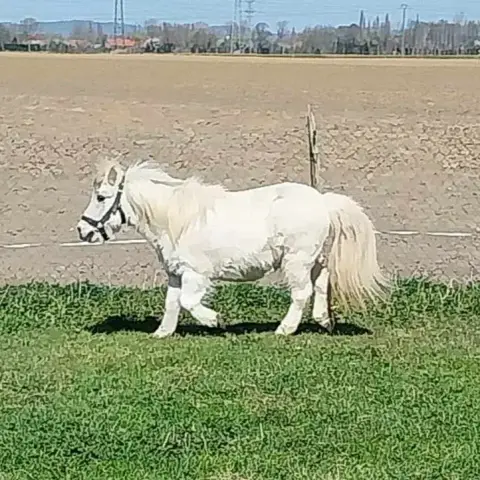 Casper
