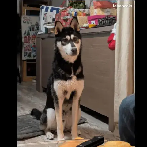 Vlad photo 3