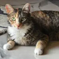 Hilda photo 3