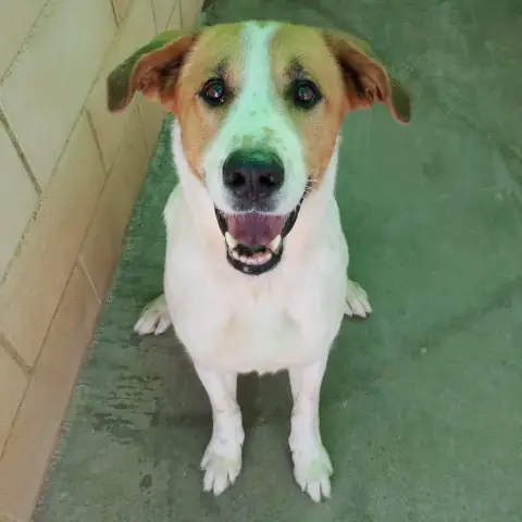 Bruce
