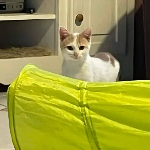 Caramel