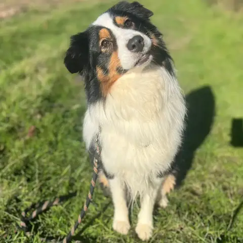 Oscar photo 2