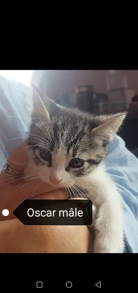 Oscar photo 2
