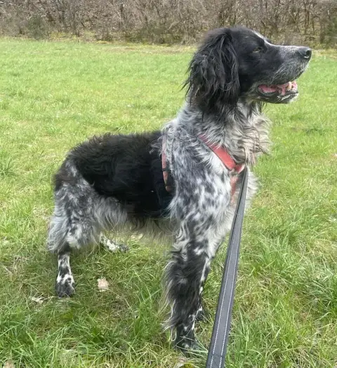 Pepper photo 2
