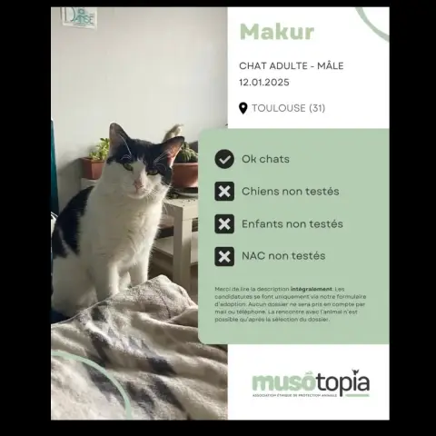 Makur