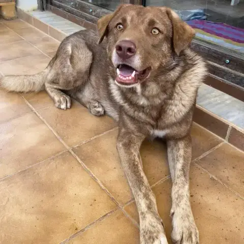 Pablo