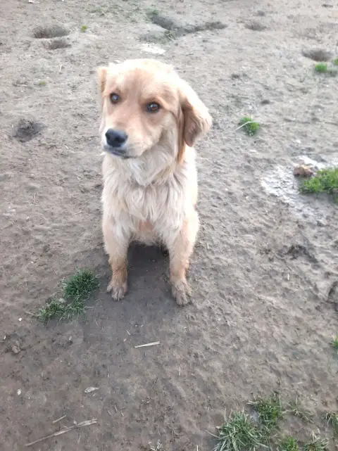 Oscar photo 2