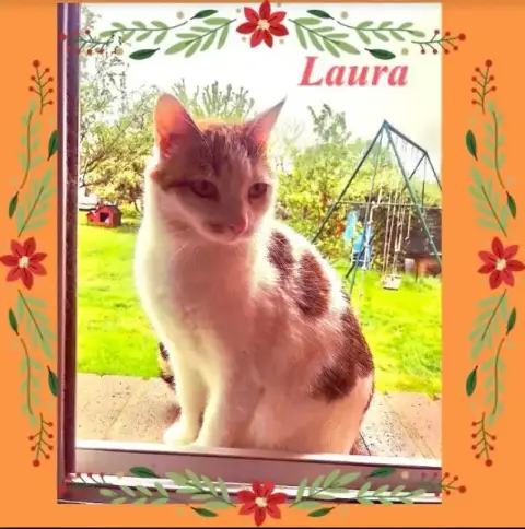 Laura Et Hugo