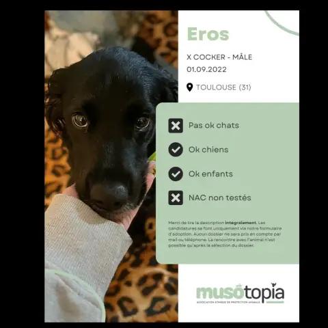 Eros