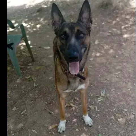 Marley