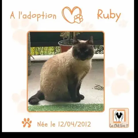 Ruby