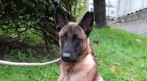 Roky