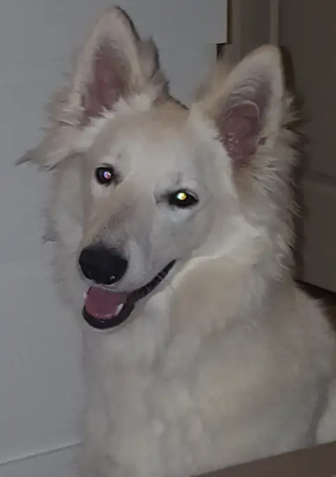 Milka