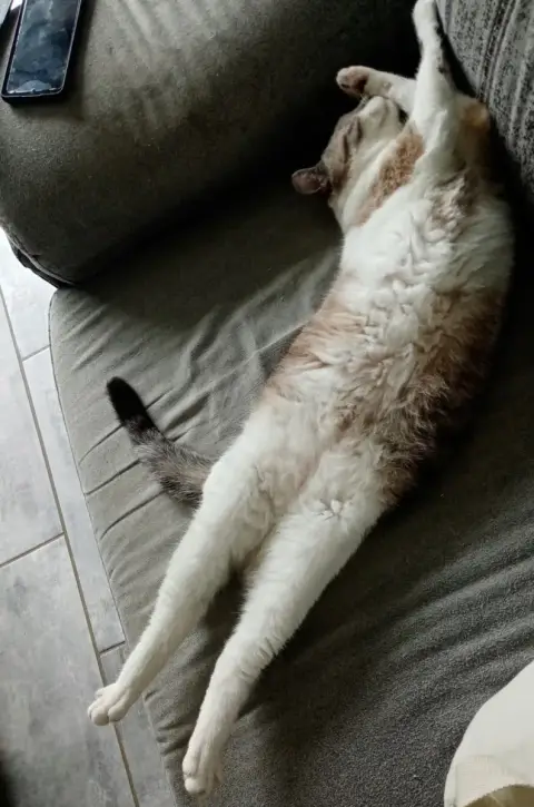 Itsy