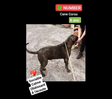 Number
