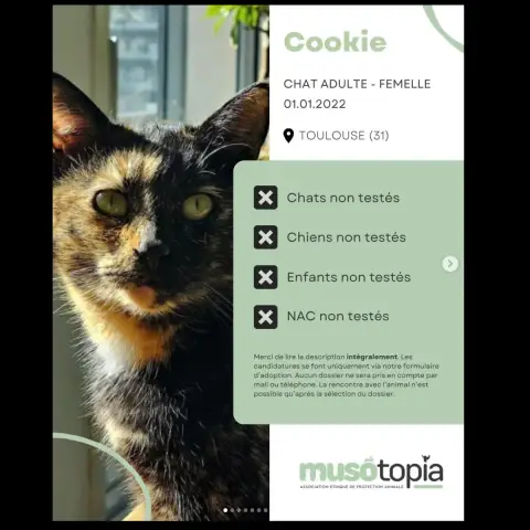 Cookie