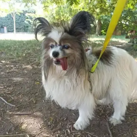 Diane photo 2