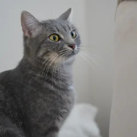 Holly photo 3