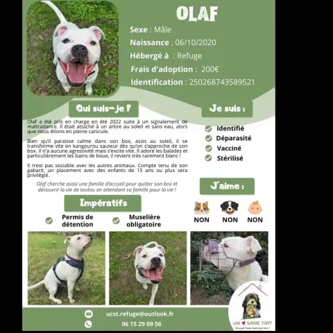 Olaf