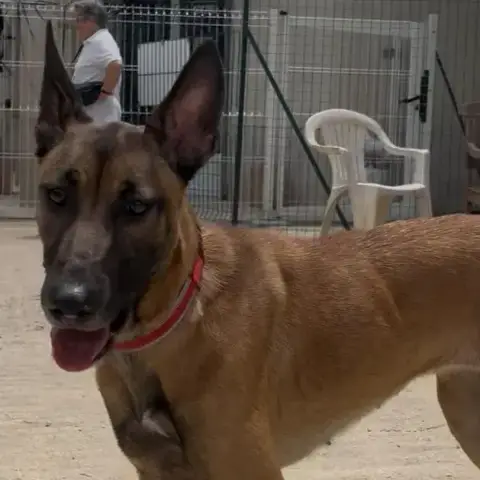 Gina