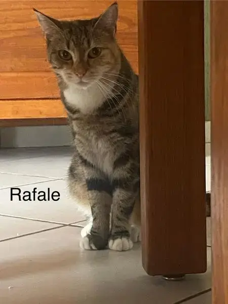 Rafale Et Poupette