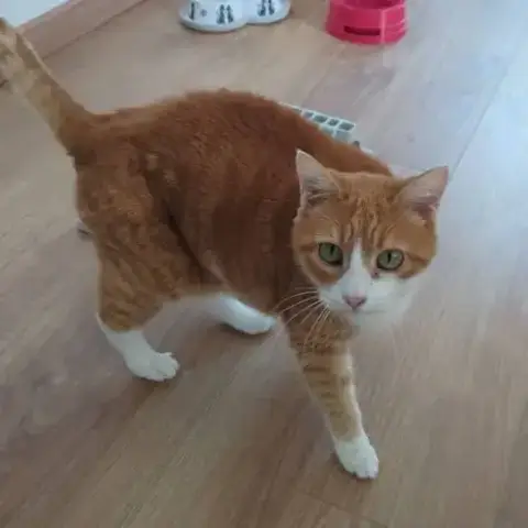 Babou photo 2