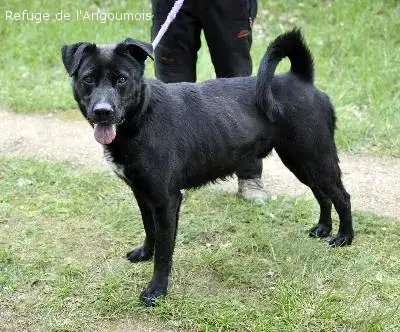Romeo photo 2