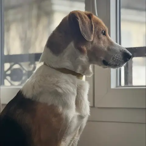 Zyggi photo 2