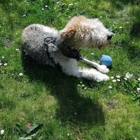 Lucky photo 2