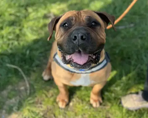 Xena