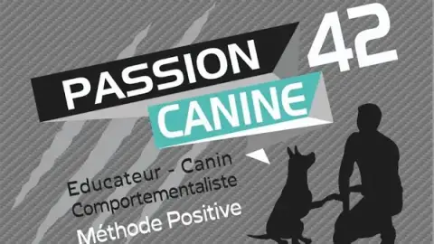 Passion canine 42 éducateur canin comportementalistes