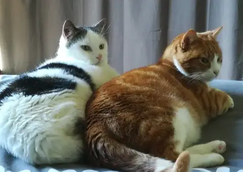 Jim et compagnie