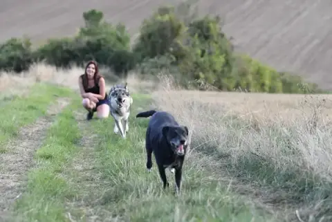 Anim'S Dog - Education Canine