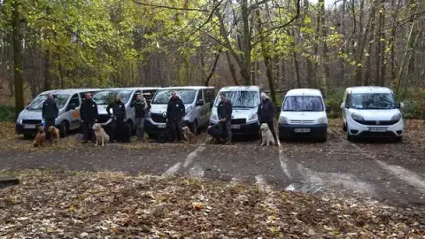 Doggies And Company