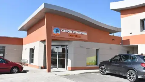 Veterinary Clinic Sainte Anne - Emergencies 24 / 24h 7 / 7d