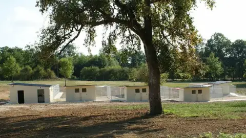 Centre Canin et Félin Mas Dog