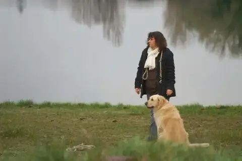 DOG ACADEMY
