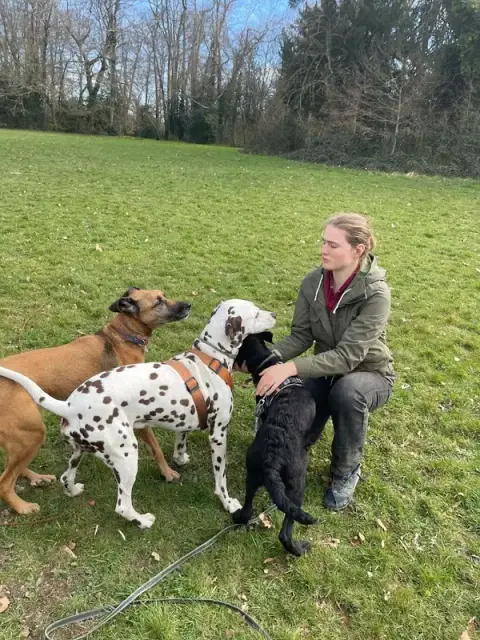 Ker Wouf - Pension canine - Dog sitting - Garde de chiens