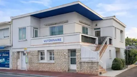 Clinique vétérinaire de Royan