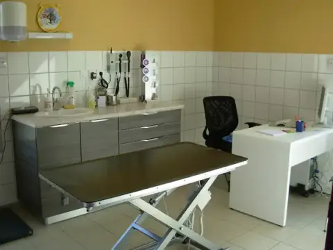 Clinique Vétérinaire du Saint-Laurent