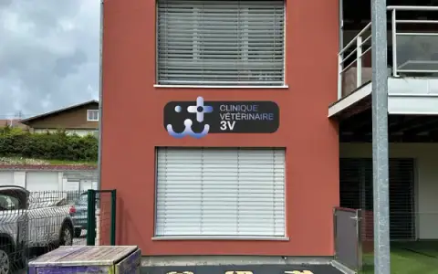 clinique vétérinaire 3 V Orchamps Vennes