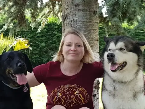 Entre Chiens Et Nous BZH