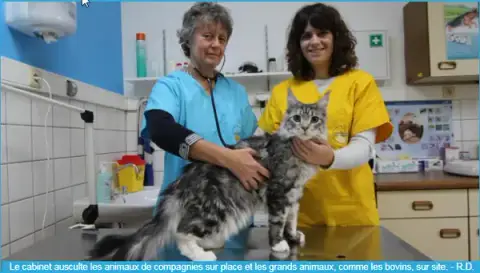 CABINET VETERINAIRE des Remparts