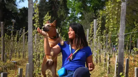 Uncianimals Educateur canin comportementaliste